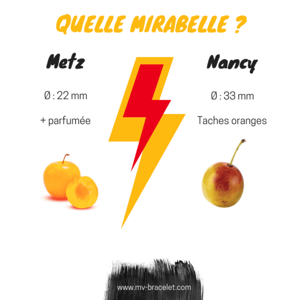 difference entre la mirabelle de nancy et la mirabelle de metz