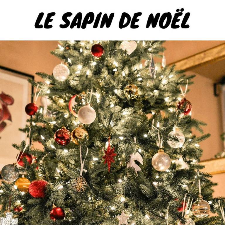 Devenez expert de l'histoire et l'origine du sapin de Noël Michael