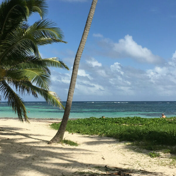 À la découverte des bijoux en Martinique : un savoir-faire artisanal préservé